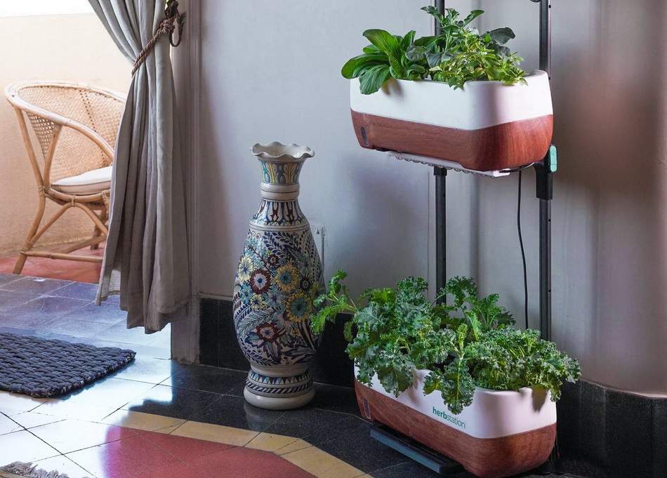 Jardim Vertical em seu lar